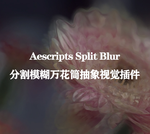 AE/PR插件|Split Blur v1.1.0 Win汉化版 万花筒分割模糊迷幻视觉特效-CG资源网