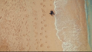 68747470733a2f2f73382e686f7374696e676b617274696e6f6b2e636f6d2f75706c6f6164732f696d616765732f323032302f30312f34616166346438646437353461663534626564396138623531636663323833362e676966