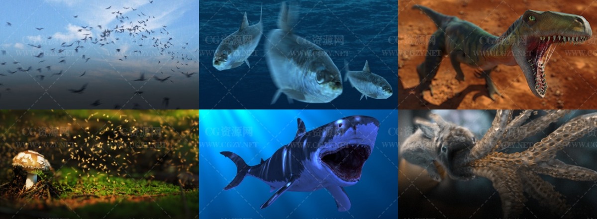 视频素材|124个恐龙鸟蛇鲨鱼蝴蝶动物4K视频素材合集下载- Production Crate – Animals & Creatures