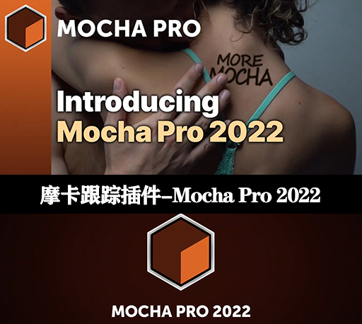 Boris FX Mocha Pro 2022 v9.0.2 全套Win破解版下载-CG资源网