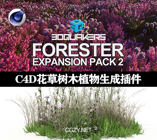 C4D插件|Forester v1.5.2 Win + Expansion Pack预设包-花草树木森林植物生成插件-CG资源网