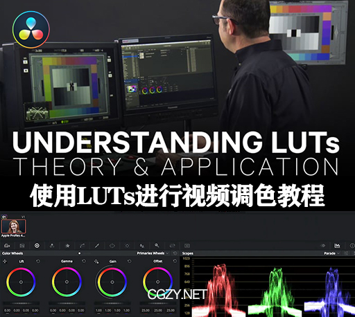 达芬奇教程|达芬奇视频调色LUT使用教程-Understanding LUTs Theory and Application-CG资源网