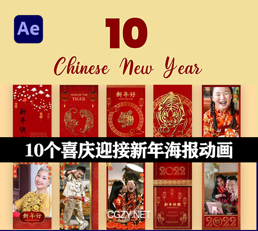 AE模板|10个迎接新年快乐竖屏红色喜庆海报动画-Chinese New Year Instagram Story-CG资源网