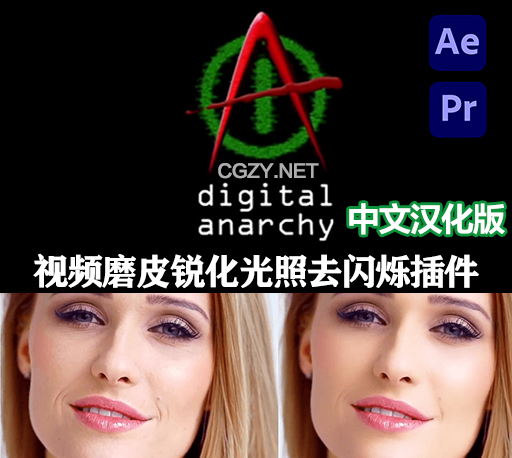 中文汉化版-Digital Anarchy bundle 2022.12 Win一键安装 AE/PR磨皮美颜锐化光照视频去闪烁插件-CG资源网