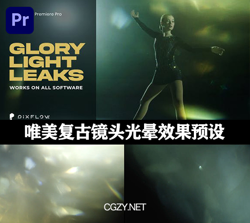 PR模板|唯美复古镜头光晕效果预设 含视频素材 Glory Light Leaks-CG资源网