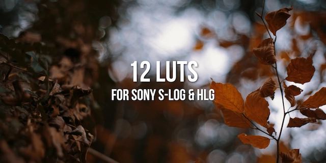LUTS预设|12组专业索尼相机LUTS调色预设 LUTs for Sony A7S III / A7III for HLG & S-LOG