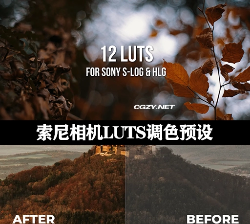 LUTS预设|12组专业索尼相机LUTS调色预设 LUTs for Sony A7S III / A7III for HLG & S-LOG-CG资源网
