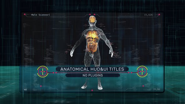 AE模板|科技感旋转线框人体器官HUD界面动画 Anatomical HUD UI Titles