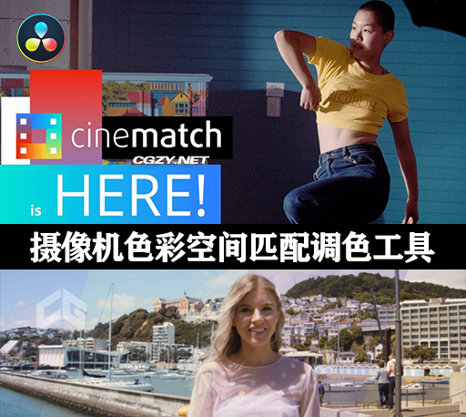 达芬奇插件|摄像机色彩空间匹配调色工具 CineMatch OFX v1.10 Win-CG资源网