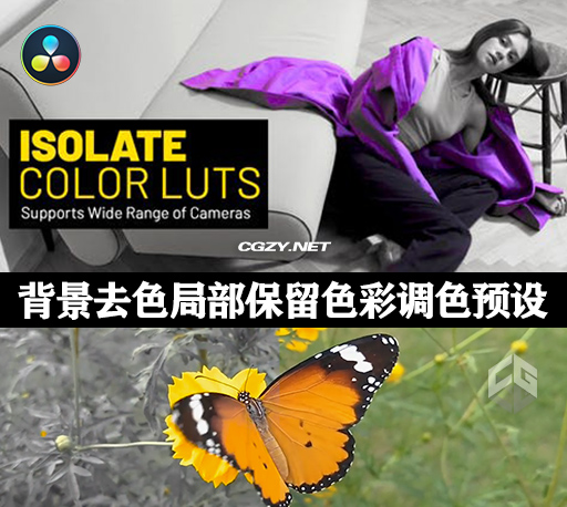 达芬奇预设|73种背景去色局部保留色彩 颜色分级调色预设 Isolate Colos LUTs-CG资源网