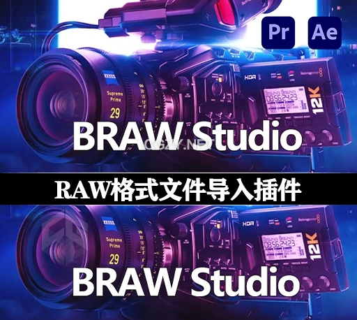 AE/PR插件|Blackmagic RAW格式导入工具 BRAW Studio v3.1.3 Win破解版+使用教程-CG资源网