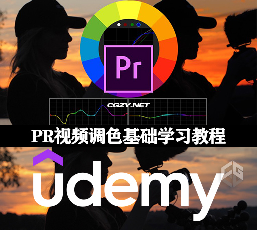 PR教程|视频调色基础学习课程(英文字幕) Udemy – Color Grading & Creating Luts