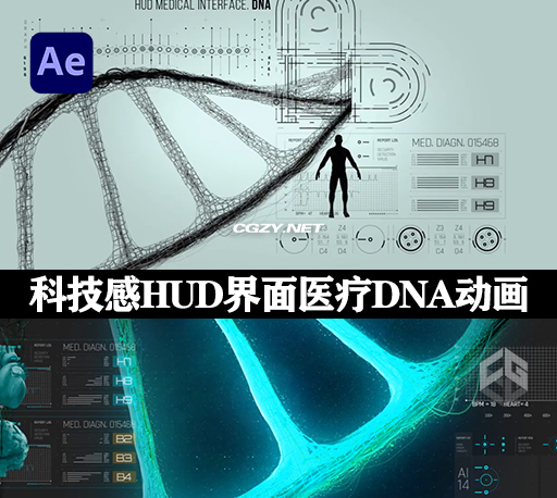 AE模板|科技感HUD界面医疗DNA动画 HUD Medical Interface Heart-CG资源网