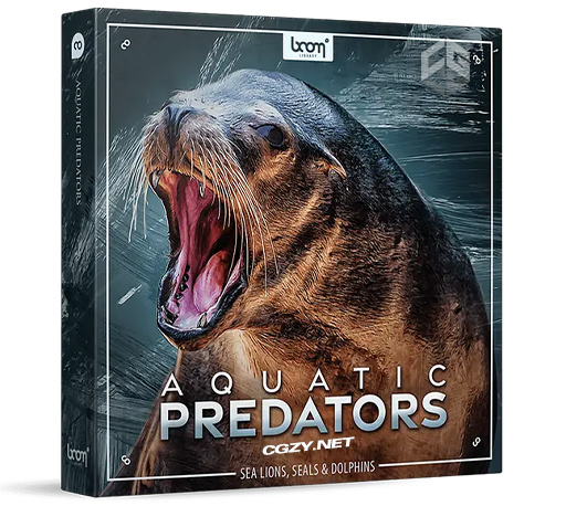 音效|海豹、海狮、海豹、海豚动物无损音效素材 BoomLibrary Aquatic Predator-CG资源网