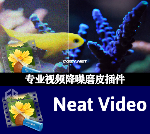 达芬奇插件|专业视频降噪磨皮插件 Neat Video Pro v5.5.1 Win