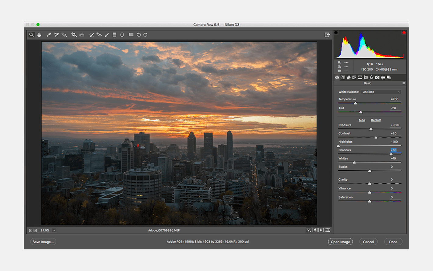 RAW文件编辑工具 Adob​​e Camera Raw v14.5.0.1177 Mac版