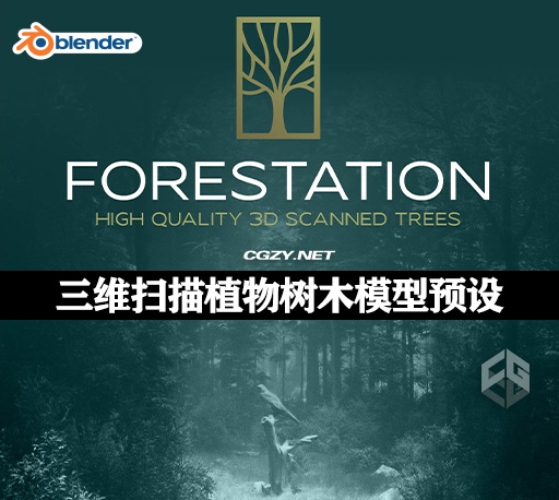 Blender插件|高质量三维扫描植物树木模型预设 Forestation V1.0 – High Quality 3d Scanned Trees-CG资源网