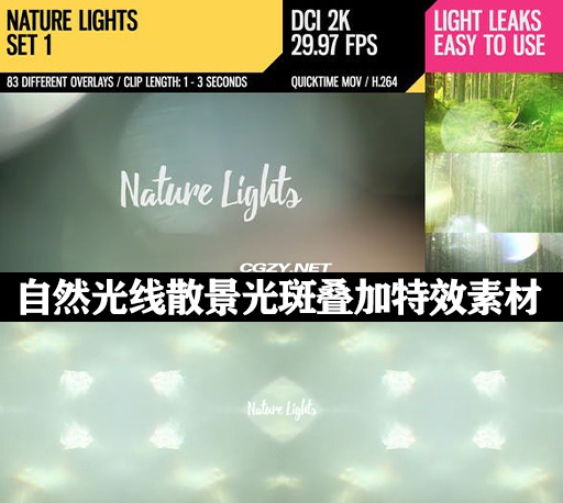 视频素材|83个自然柔和光线温暖散景光斑叠加特效动画 Nature Lights HD1-CG资源网