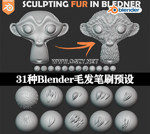 Blender插件|31种毛发笔刷预设 Sculpting Fur And Hair Brushes-CG资源网