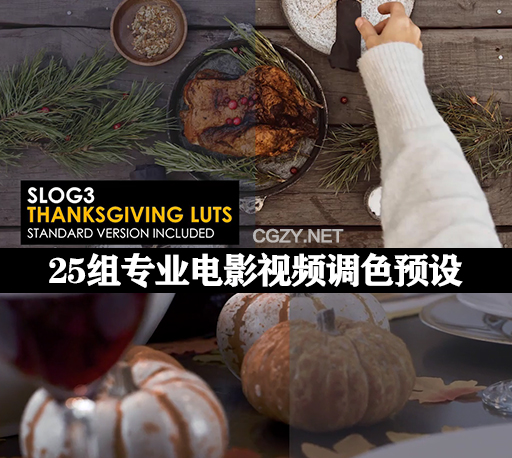 LUTs预设|25组专业电影视频调色预设 Slog3 Thanksgiving And Standard LUTs-CG资源网