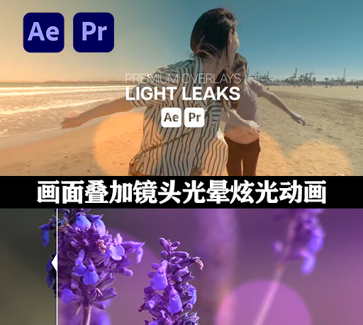 AE/PR模板|画面叠加镜头光晕炫光动画 Premium Overlays Light Leaks-CG资源网