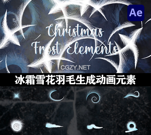 AE/PR模板|漂亮冬季冻结冰霜雪花羽毛生成动画元素 Winter Frost Elements -CG资源网