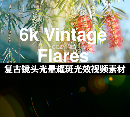 65个复古镜头耀斑光效叠加4K视频素材 Rocket Rooster Vintage Flares-CG资源网