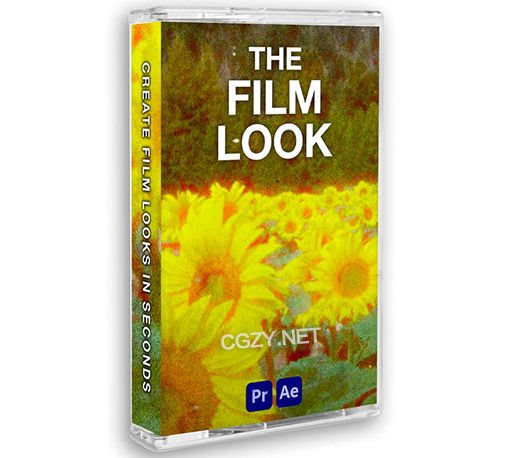 复古电影质感噪点视频素材LUTs调色预设音效素材 THE FILM LOOK-CG资源网