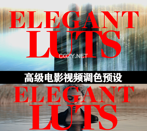 高级时尚电影商业广告流行音乐视频LUTs调色预设 AcidBite – Elegant Luts-CG资源网