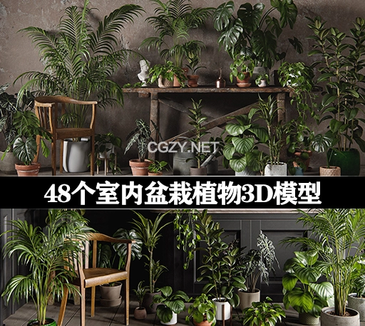 48个高质量室内盆栽植物3D模型 3DCollective – Interior Plants Pack 01【3DS MAX/OBJ格式】-CG资源网