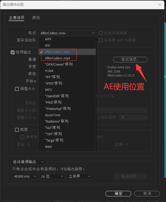 AE/PR加速渲染输出插件 AfterCodecs v1.10.15 Win中文汉化版