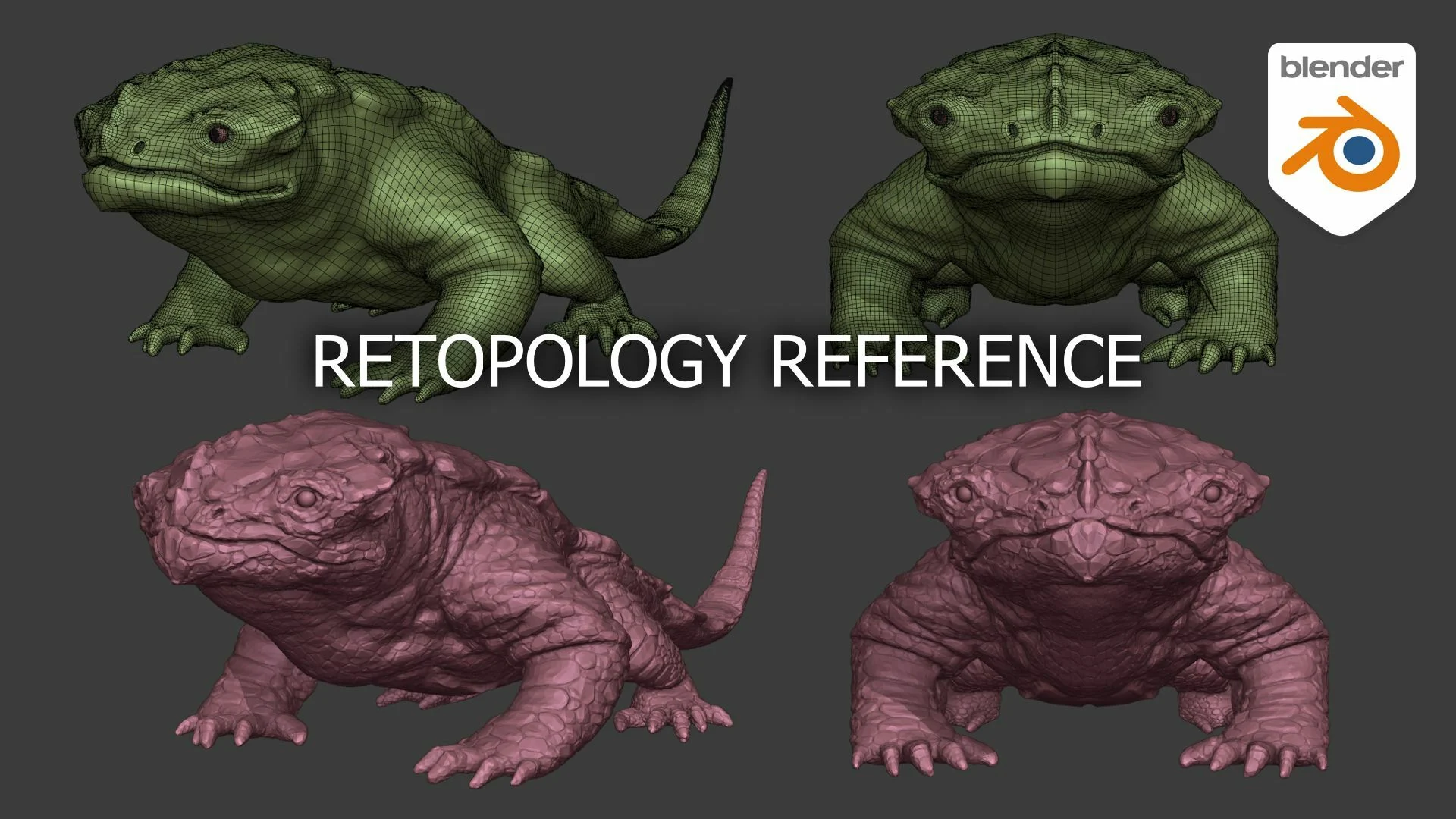 Blender雕刻蜥蜴生物模型预设 Retopology reference – Lizard creature