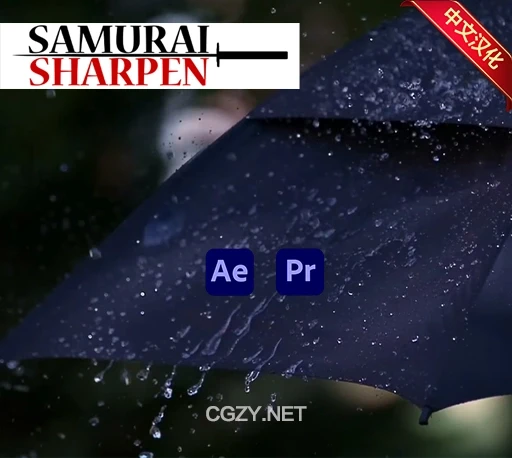 中文汉化-AE/PR视频智能锐化变清晰插件 Digital Anarchy – Samurai Sharpen v1.3 Win-CG资源网 中文汉化-AE/PR视频智能锐化变清晰插件 Digital Anarchy – Samurai Sharpen v1.3 Win-CG资源网
