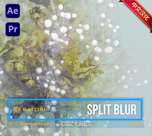 中文汉化-AE/PR万花筒分割模糊迷幻视觉特效插件 Split Blur v1.5.0 Win/Mac-CG资源网 中文汉化-AE/PR万花筒分割模糊迷幻视觉特效插件 Split Blur v1.5.0 Win/Mac-CG资源网